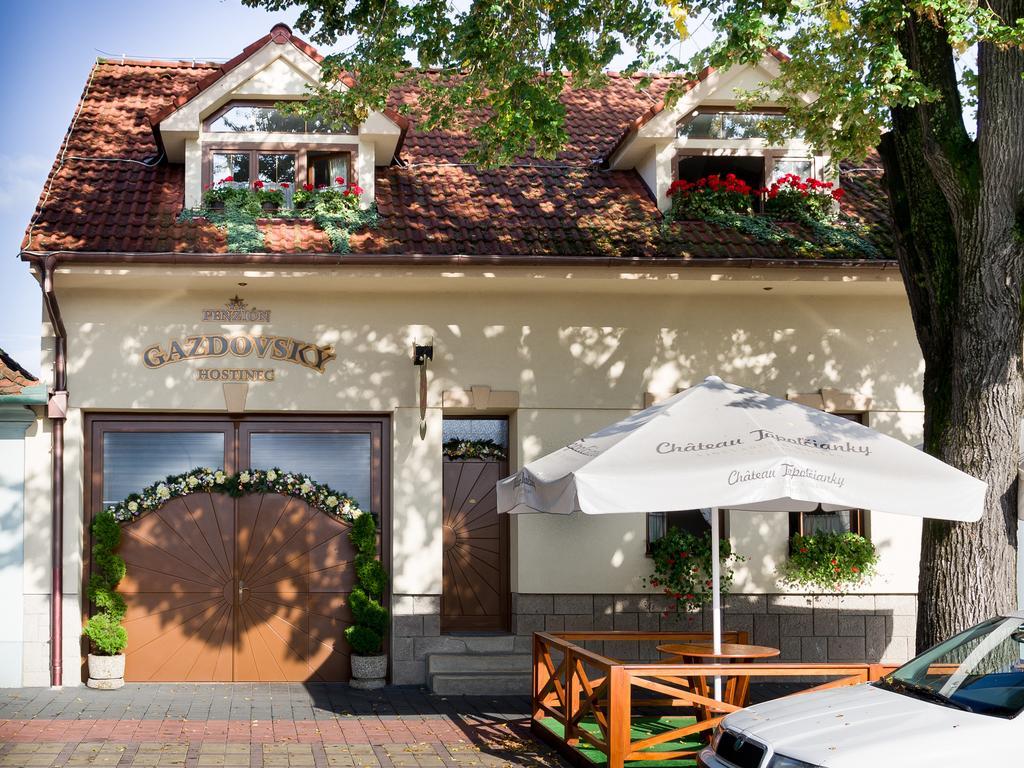 Penzion Gazdovsky Hostinec Topoľčianky Buitenkant foto